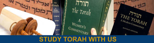 Banner Image for Torah Study and Service Led by Sheila Lawrence